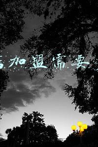 开个汉堡店要多少钱，开个汉堡店要多少钱,全程扶持开店!