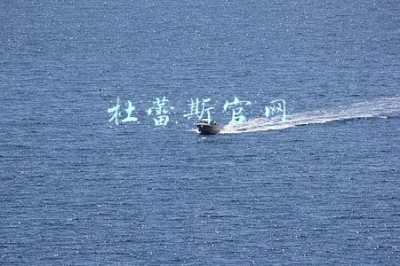 杜蕾斯官网旗舰店(杜蕾斯换了新logo，这次有什么特别的吗？)