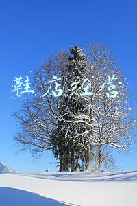 鞋店经营不好的原因(鞋子卖不上价，鞋店没利润，终于找到原因了)