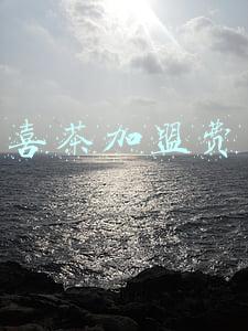 喜茶加盟费明细表2021(喜茶低至9元，就能实现奶茶自由了吗？)