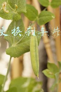 4s店更换刹车片多少钱