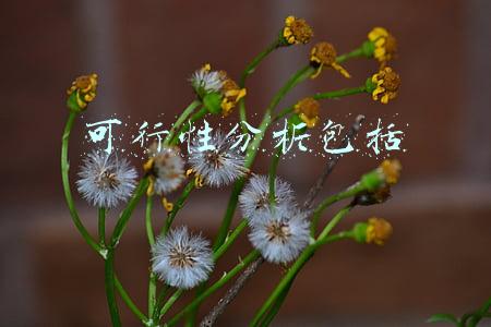 可行性分析包括哪三个方面(可行性研究的程序)