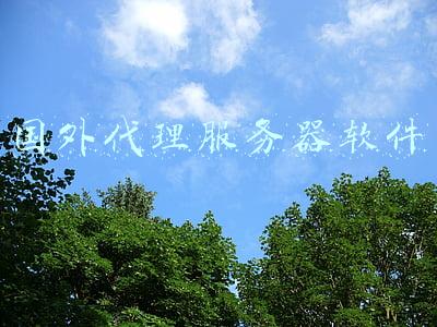 代理服务器工具(netty系列之：从零到壹，搭建一个SOCKS代理服务器)
