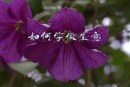 女人如何学做生意(九张图教会女性如何平衡家庭和事业，收获完美人生)