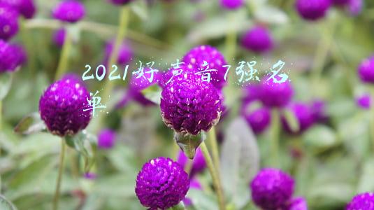 2021好声音7强名单