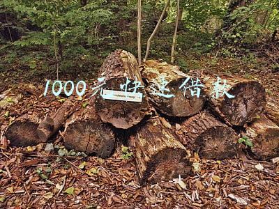 怎么快速赚1000元(故事小白，学写作2个月过稿7篇，赚稿费1000＋，我做到了这4点)