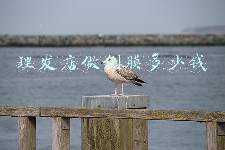 理发店做发膜价格（理发店做发膜多少钱）
