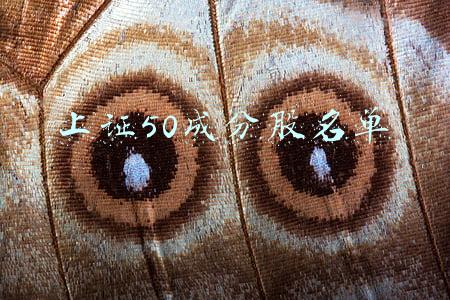 最新上证50成分股权重排名(上证50最新权重一览表)