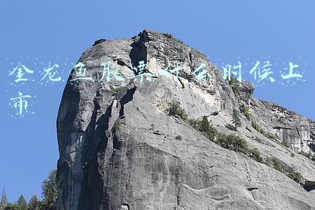 金龙鱼股票什么时候上市的(金龙鱼(300999.SZ)2277.31万股限售股将于4月15日上市流通)