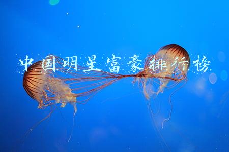 中国明星富豪排行榜2020(明星近4年收入情况：赵丽颖领先王一博2亿，肖战领先李宇春0.1亿)