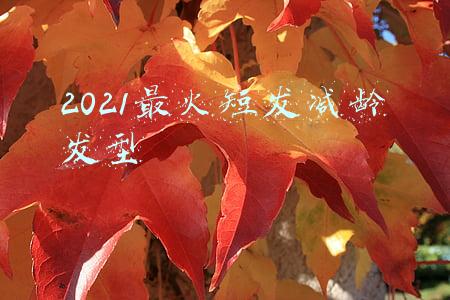 2021最火短发减龄发型女(短发又流行回来了！这5款经典的“短发”，高级减龄还显脸小)