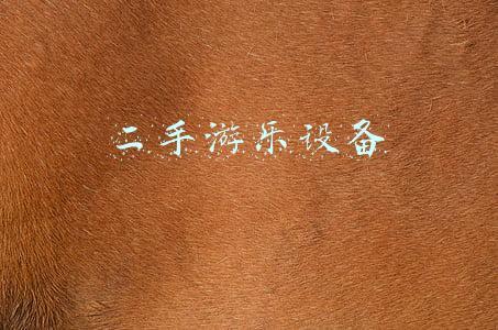 二手游乐设备低价转让出售(九成新大型娱乐设备低价转让)