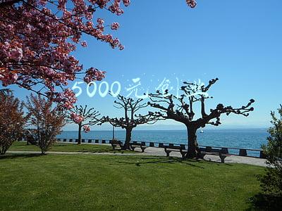 5000元创业做什么好(5000元小本投资创业项目有哪些？)