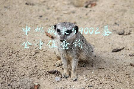 中邮成长59002基金净值查询162207(中邮核心成长混合基金最新净值跌幅达4.52%)