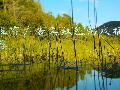 没有广告真红包游戏推荐