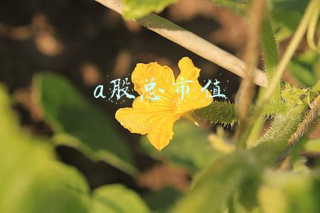a股总市值2022(A股：2022年A股百万亿元市值可期，需要布局哪些方向？)