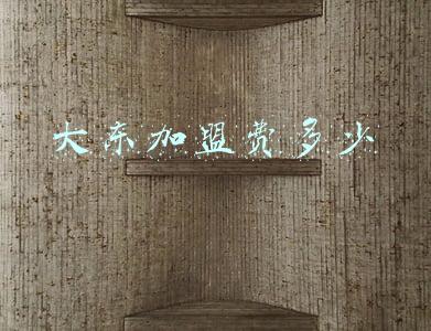 大东加盟费多少