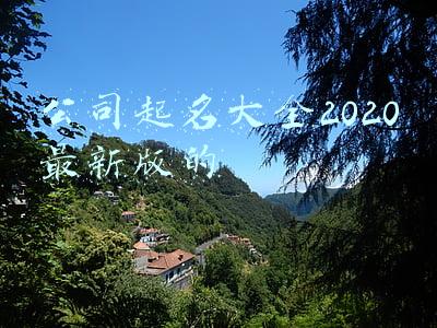 公司起名大全2020最新版的免费(电子科技公司取名技巧和原则，大气有内涵的电子公司名称分享)