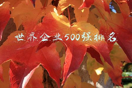 世界企业500强排名
