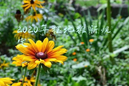 2022年摆地摊卖什么好(2022年，餐饮业这8个小趋势值得注意)