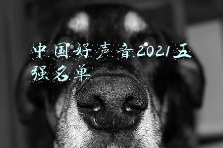 中国好声音2021五强名单冠军(《好声音2021》五强出炉，那英眼光确实不行，冠军大概率3选1)