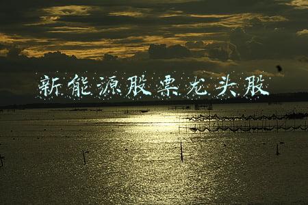新能源汽车股票龙头股(国务院放大招！新能源汽车产业彻底“沸腾”了，券商建议重点关注这13只龙头股)