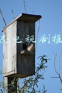 励志电视剧推荐