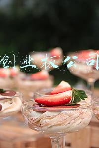 创业板公司