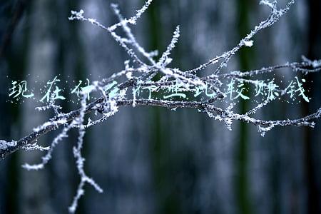 现在什么行业比较赚钱 现在什么行业比较赚钱