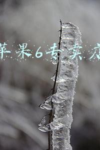 现在在哪可以买到苹果6《现在在哪可以买到苹果6二手》