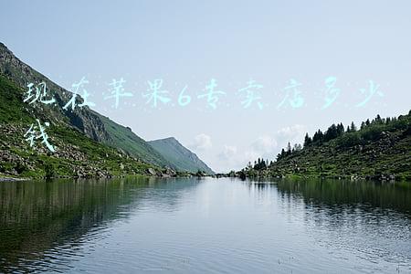 苹果专卖店验机多少钱(苹果专卖店验机多少钱一个)