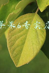 苹果12专卖店多少钱(苹果12专卖店多少钱一台)