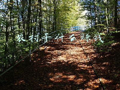 农村干什么赚钱(未来5~10年，农村哪些生意“钱”景突出？3个行业潜力大)
