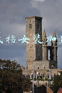 低档女装加盟