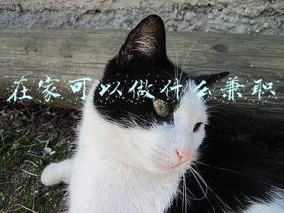 在家可以做什么兼职