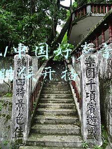 2021中国好声音直播(《2021中国好声音》中秋晚会 好声音大家庭集结炙热而歌共唱团圆)