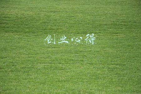 创业心得体会1000字(创业6年，我总结了这10个心得，想创业的人值得一看)