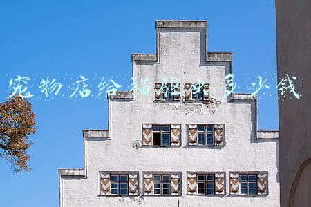 宠物店猫体内外驱虫多少钱一次-去宠物店给猫咪体外驱虫多少钱一次
