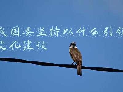 我国文化软实力的建设(彩云长在有新天——国家文化软实力如何提高？)