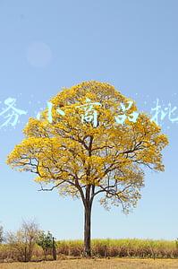 义乌小商品批发市场网上进货(义乌购：探索“数字贸易综合服务”新模式)