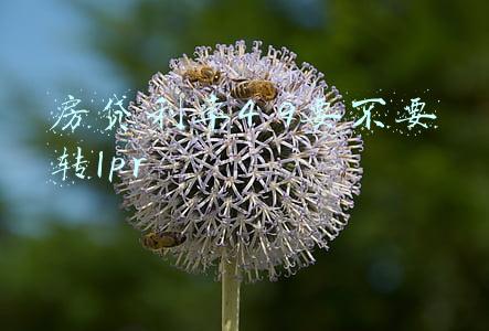 房贷利率4 9要不要转lpr