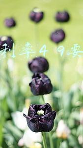 房贷利率4 9要不要转lpr