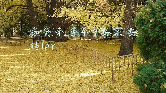 2022lpr房贷利率(走“一步”看“两步”——2022年1月全面LPR报价下调点评)