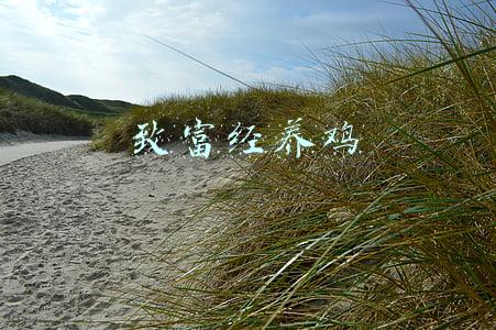 致富经养鸡