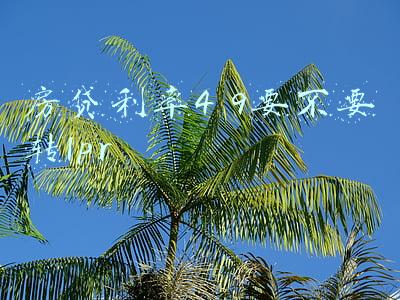 房贷利率4 9要不要转lpr