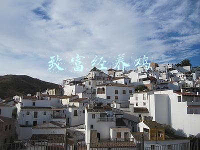 致富经养鸡视频2019全集视频(《致富经》从贷款2万到年销售2000万，她如何靠养鸡逆袭？)