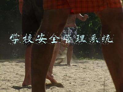 学校安全管理系统