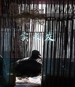 卖长发