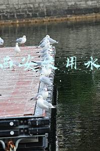 西安饮用水