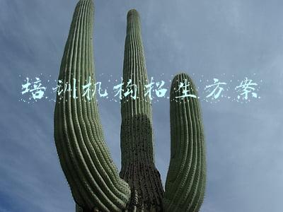 教育培训机构招生方案(2021年，培训机构招生策划方案来了)